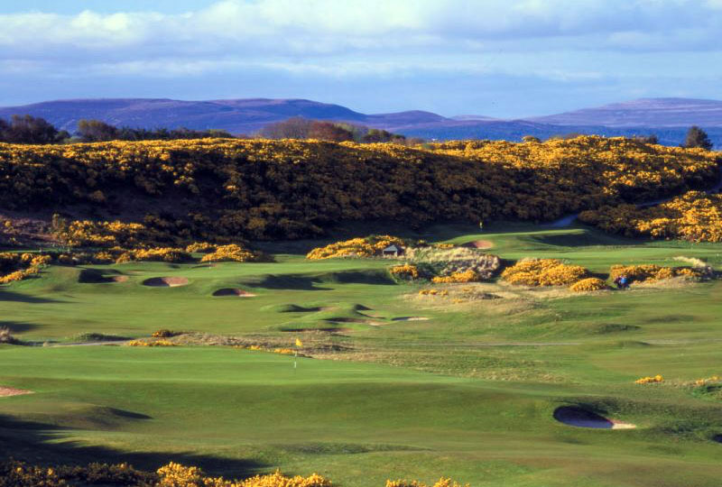 Royal Dornoch Golf Club Golf Scotland Golf Golf Holidays