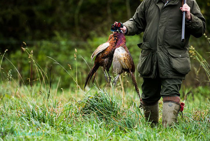 Pheasant & Partridge Shoot Estate Shoots Private Estate Shoots